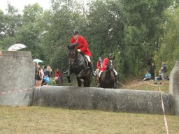 IMG_1467_web